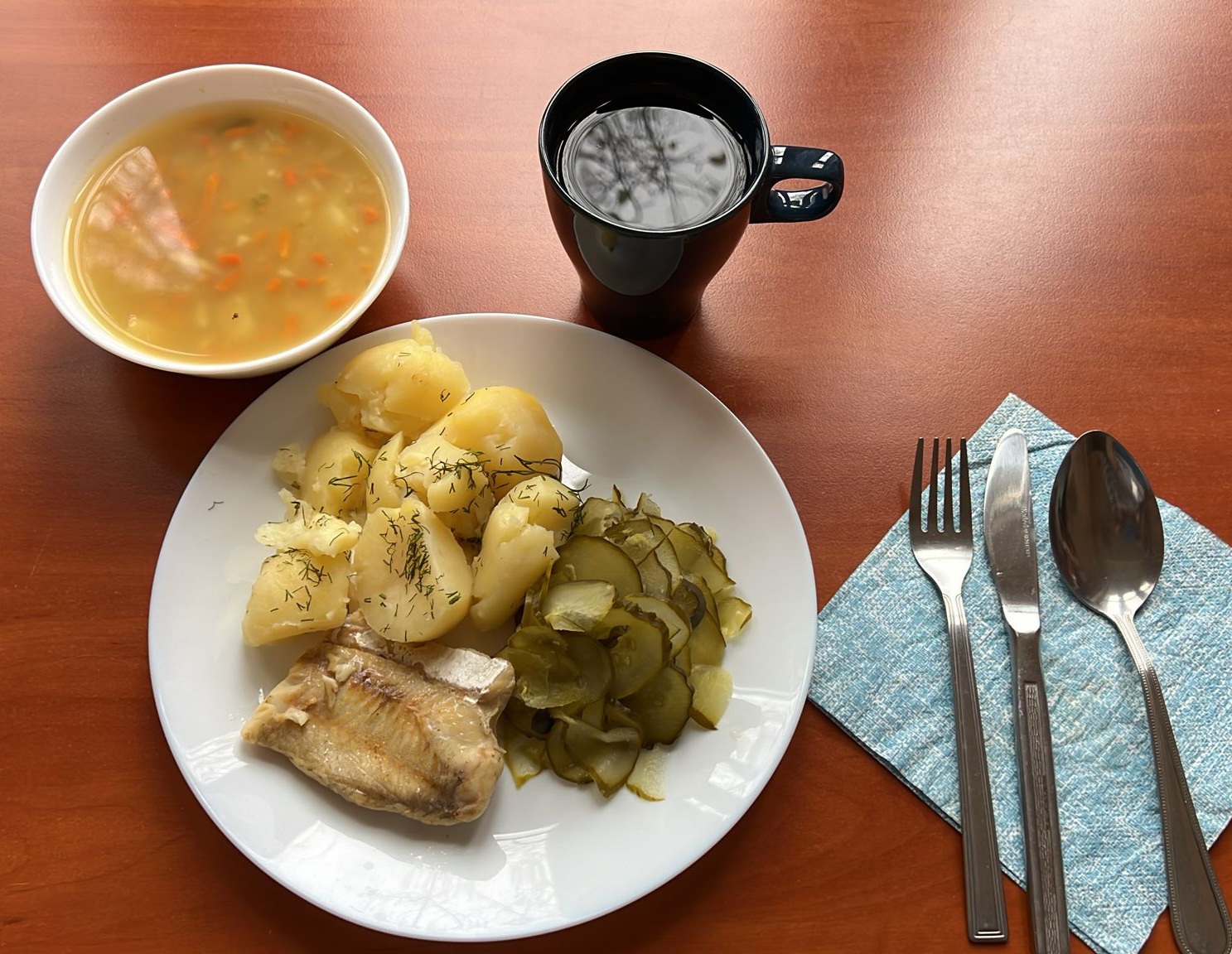 zupa, kotlet rybny, ziemniaki, og&oacute;rki kiszone, kompot
